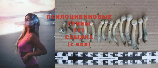 соль курить ск Гусиноозёрск