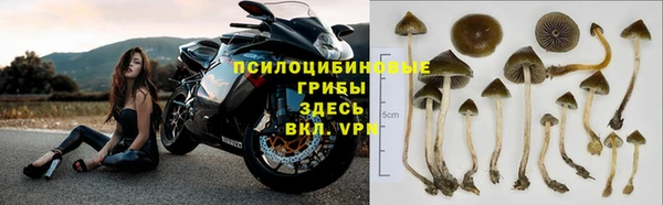 дмт Новодвинск
