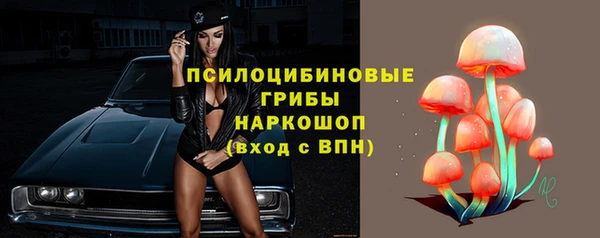 первитин Гусь-Хрустальный
