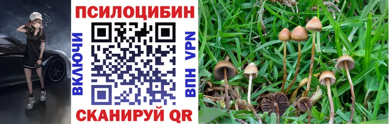 Псилоцибиновые грибы прущие грибы  мориарти какой сайт  Обоянь  что такое наркотик 
